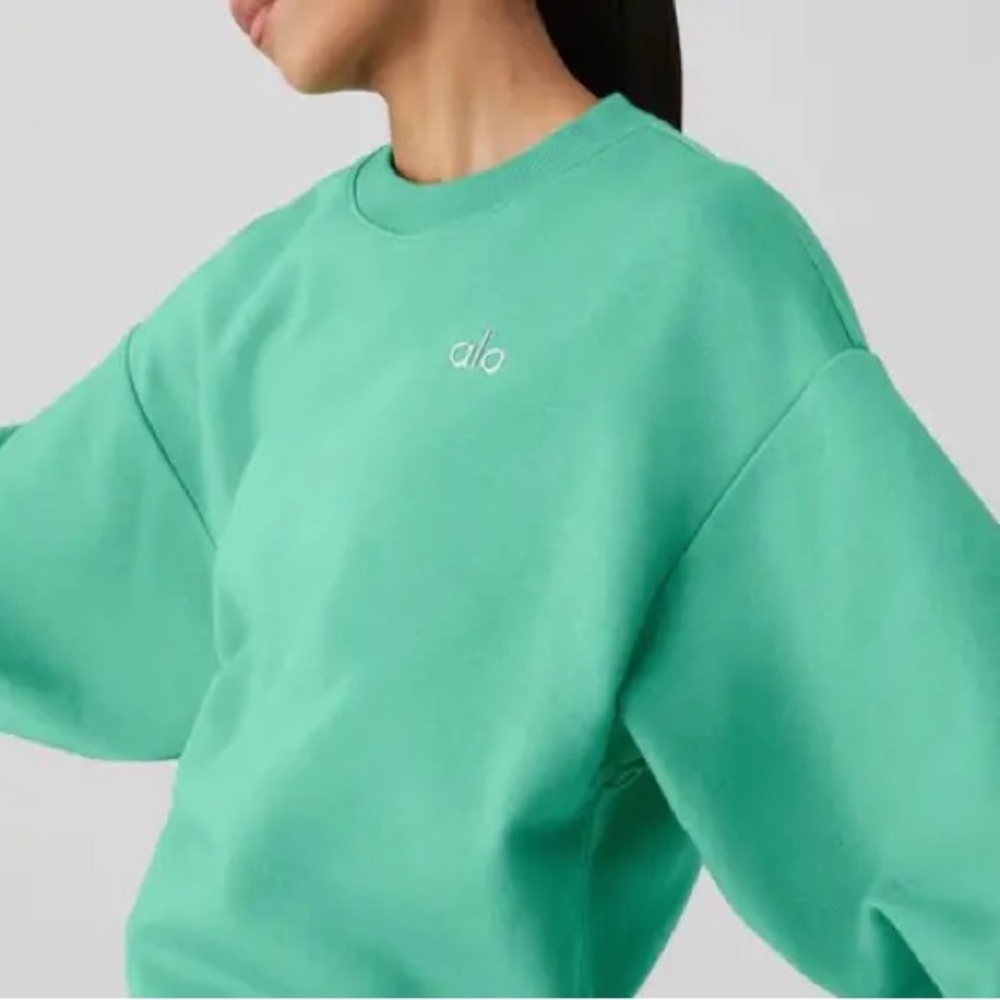 Alo accolade crew neck pullover!